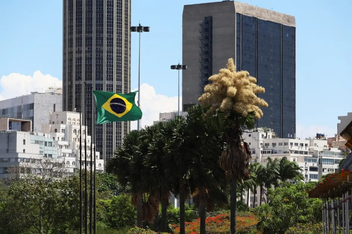 Imagem de contexto do artigo Palmeiras centenárias no Rio de Janeiro florescem pela primeira e única vez