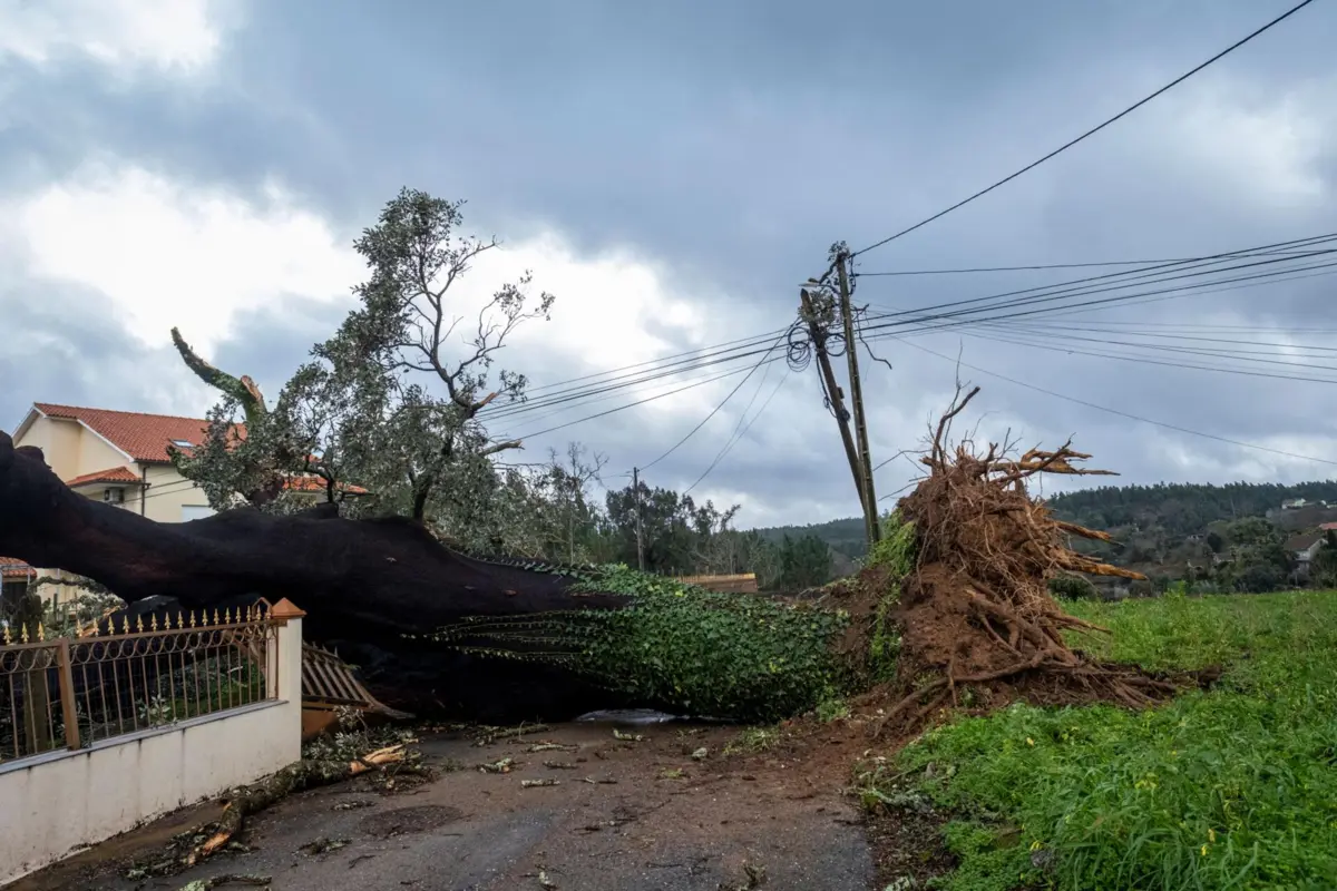 Imagem de contexto do artigo Marcelo visita zonas afetadas, período prolongado de chuva previsto a partir de domingo e Governo fala em prejuízos "brutais"