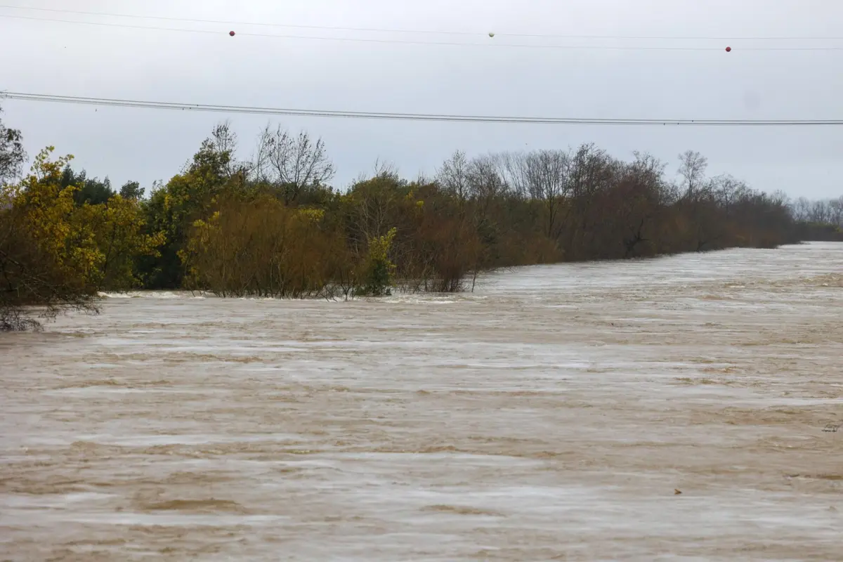 O caudal do Rio Mondego ladeado pelos diques