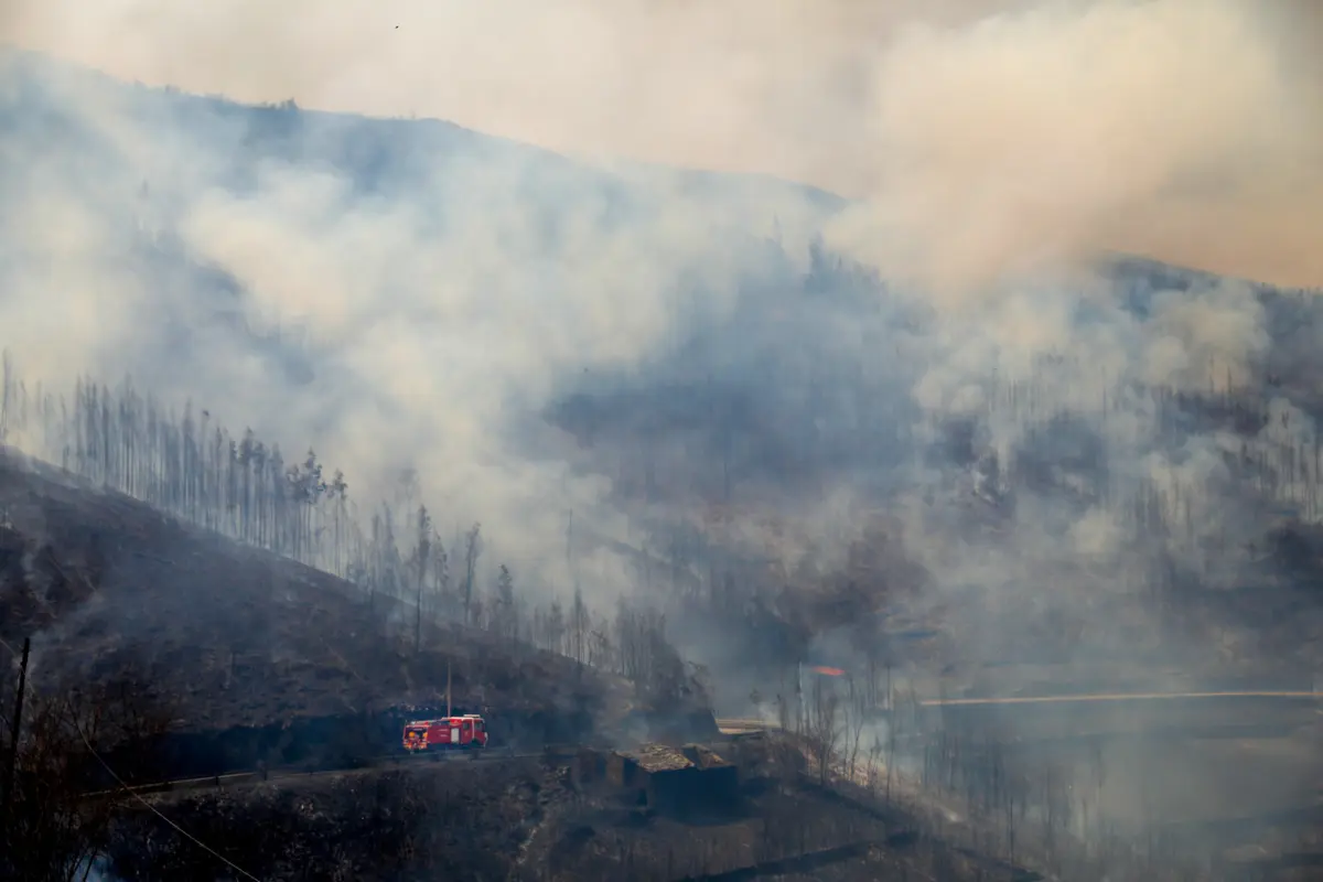 Imagem de contexto do artigo Bombeiros combatem chamas em Arcos de Valdevez, autarca admite "fogo posto"