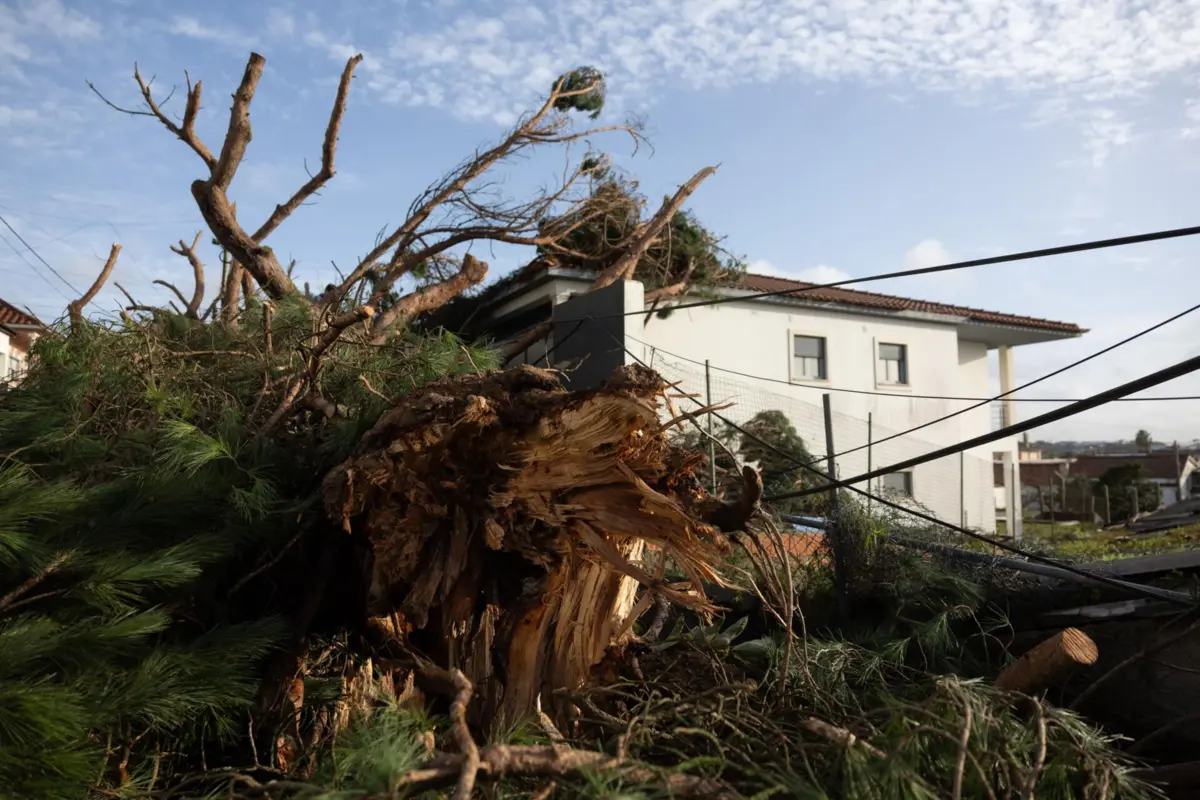 Imagem de contexto do artigo Depressão Kristin. Primeira estimativa da autarquia de Proença-a-Nova aponta para prejuízos de 20 milhões de euros