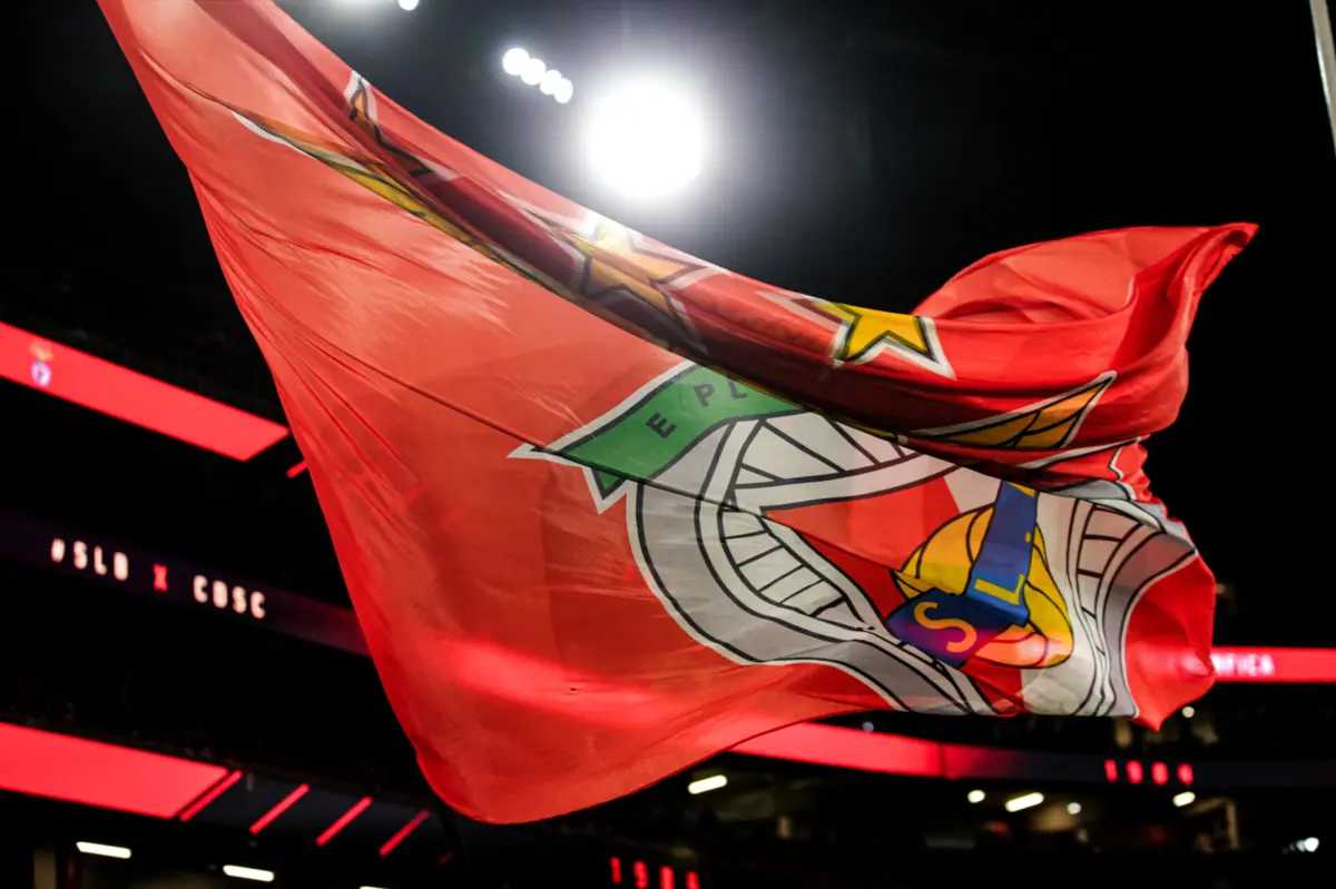 Imagem de contexto do artigo Martim Mayer anuncia candidatura à presidência do Benfica