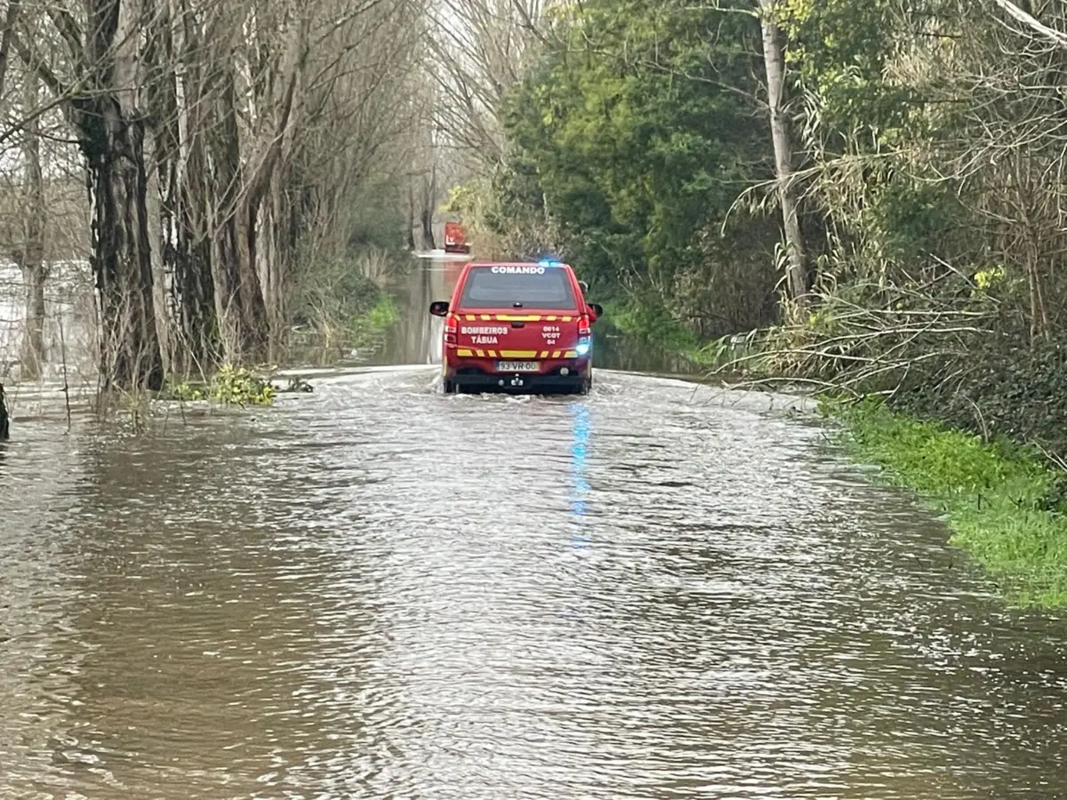 Imagem de contexto do artigo Determinada a salvar bens, família contraria ordens dos bombeiros e resiste a sair de armazém cercado pela água em Coimbra