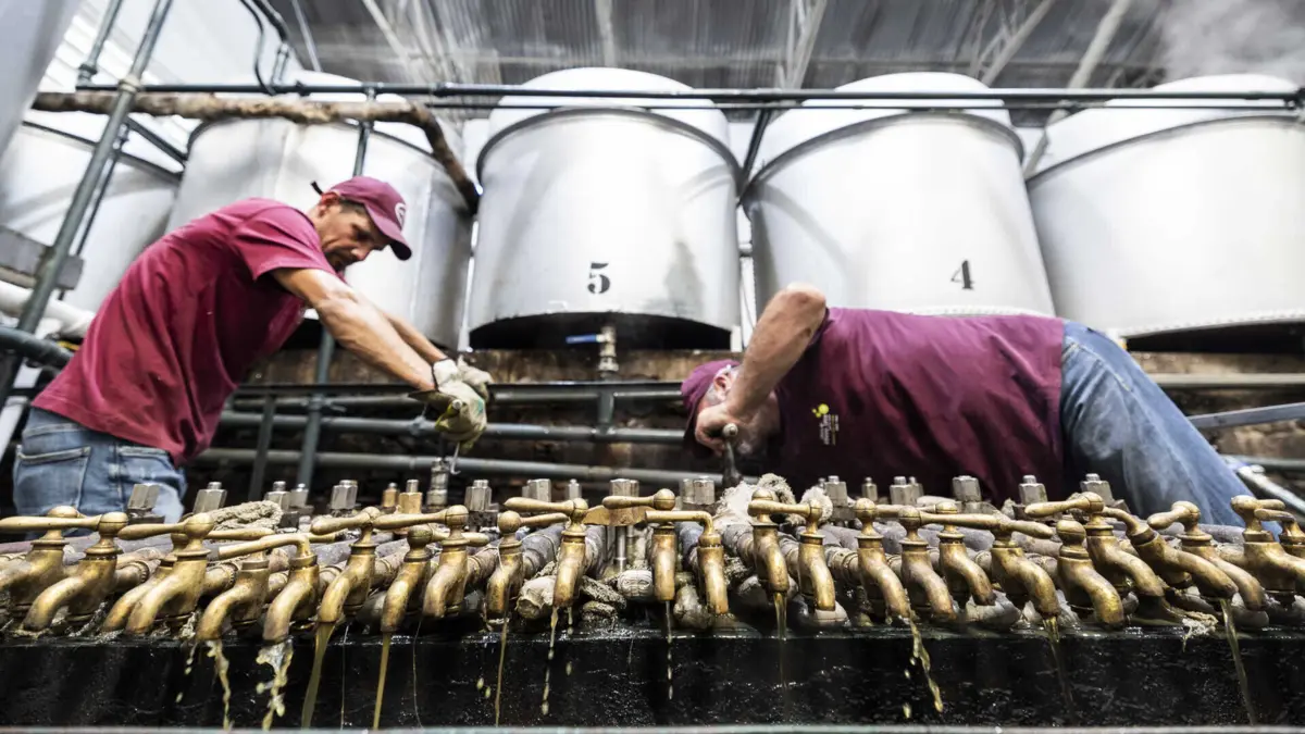 Imagem de contexto do artigo "Nunca" se pode aumentar salários e "fator humano" das Forças Armadas também precisa de investimento: especialistas questionam prioridades de Montenegro