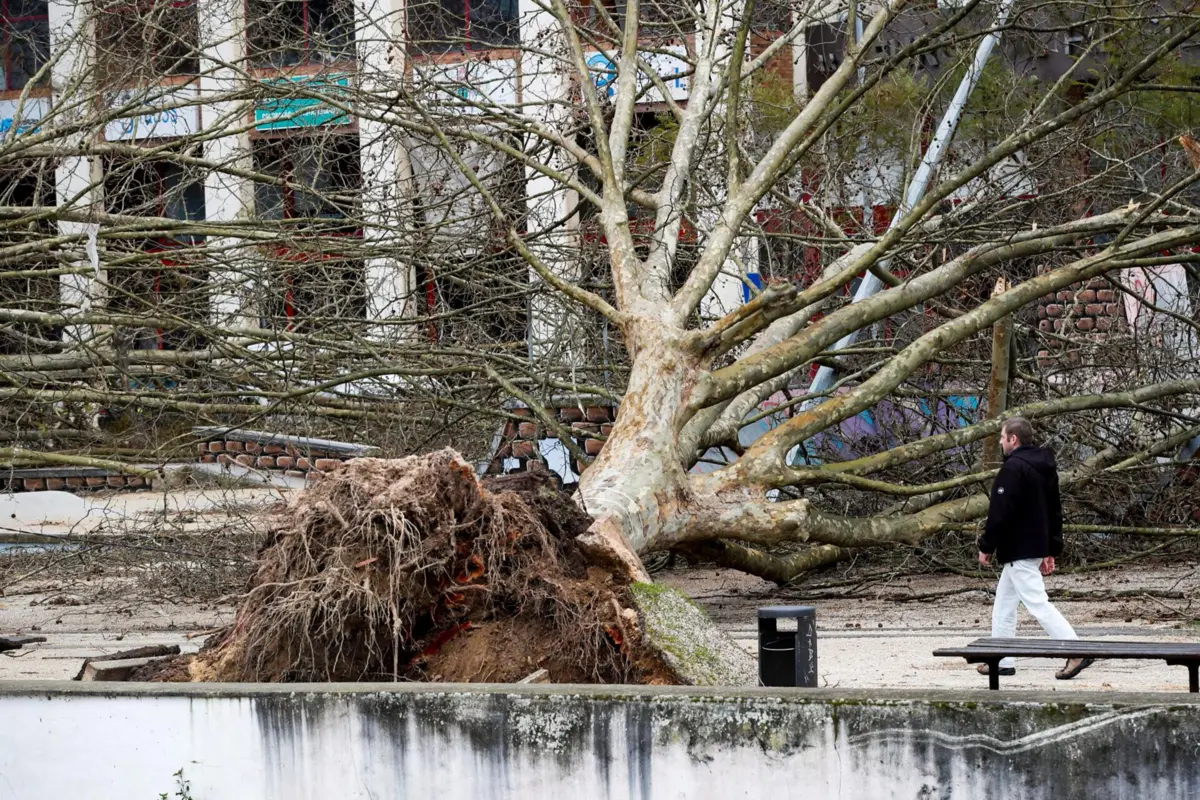 Imagem de contexto do artigo Depressão Kristin: cinco pessoas morreram, rajada mais forte foi de 176km/hora em Monte Real, Nazaré e Leiria pedem estado de calamidade
