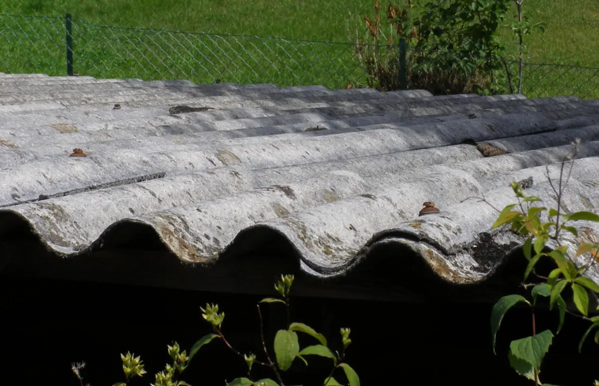 Imagem de contexto do artigo Portugal falha prazo europeu para redução de exposição ao amianto dos trabalhadores