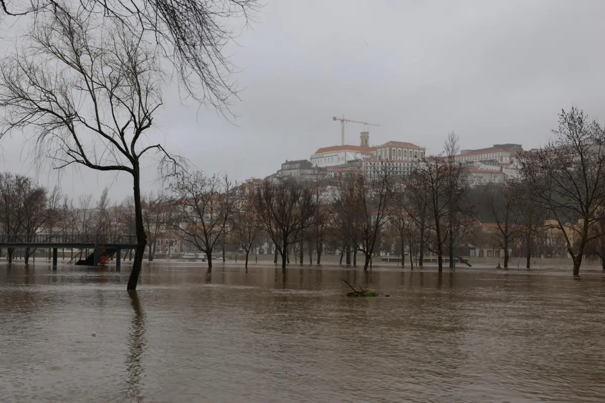 Imagem de contexto do artigo A1 cortada em Coimbra: conheça as alternativas sugeridas pela Brisa