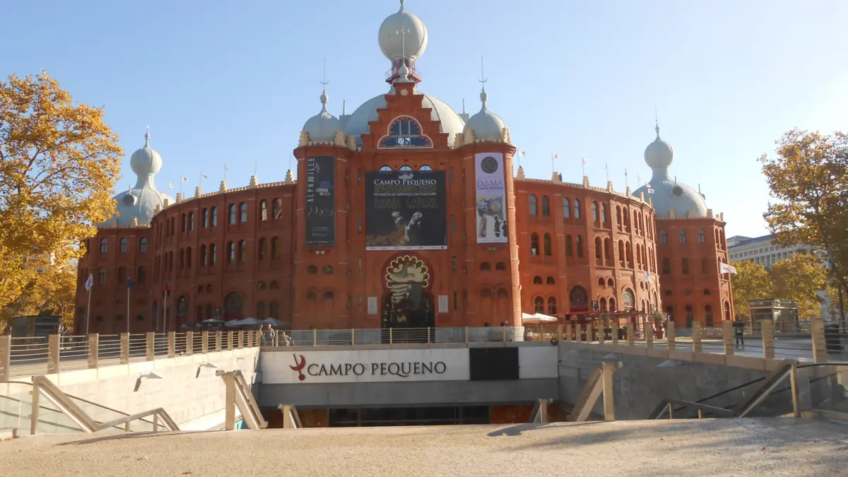 Imagem de contexto do artigo Ministério Público abre inquérito a morte de forcado colhido por touro no Campo Pequeno