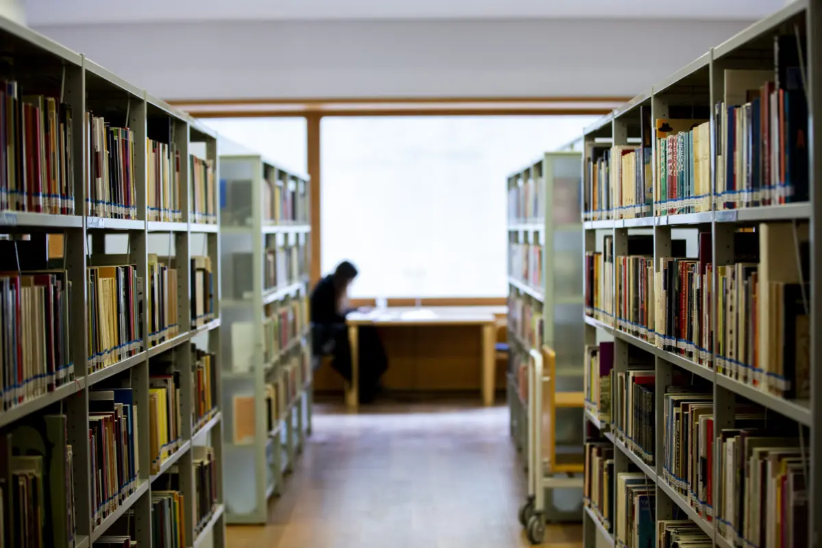 Imagem de contexto do artigo "Estudar compensa." Trabalhadores com formação superior recebem mais 73% do que quem tem o 12.º ano