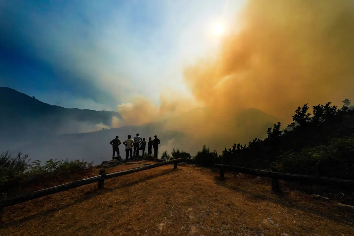 Imagem de contexto do artigo Incêndios. Força Aérea reforça vigilância e deteta nove focos em oito horas