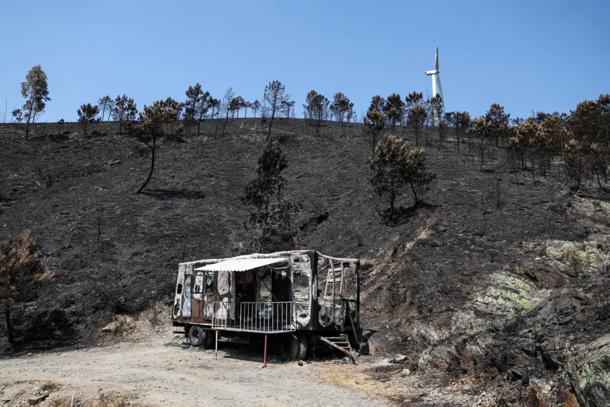 Imagem de contexto do artigo Prejuízos ainda estão a ser avaliados: incêndios no Centro do país afetaram mais de 2800 empresas de turismo