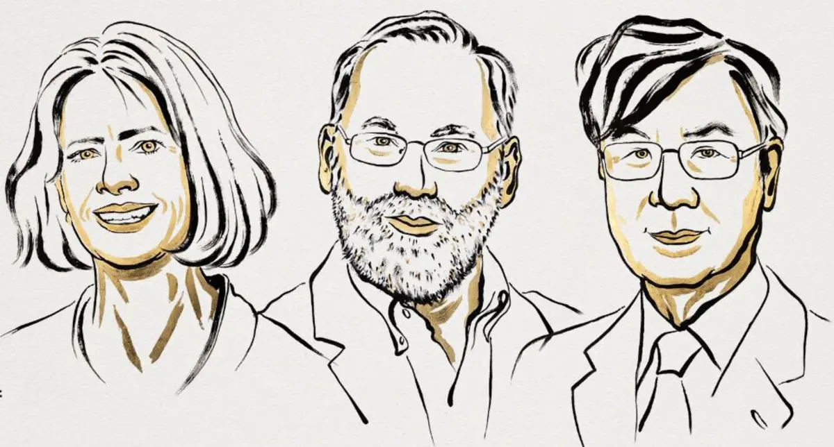 Imagem de contexto do artigo Nobel da Medicina atribuído a Mary E. Brunkow, Fred Ramsdell e Shimon Sakaguchi