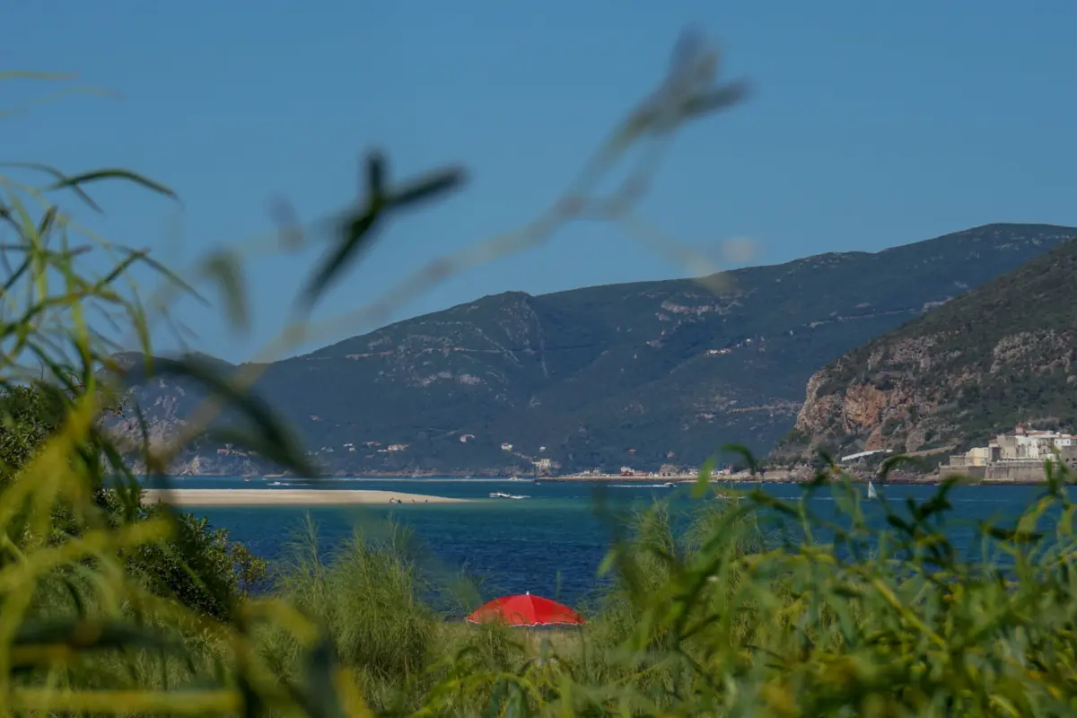 Imagem de contexto do artigo Perímetro de buscas por desaparecidos em naufrágio em Tróia vai ser alargado