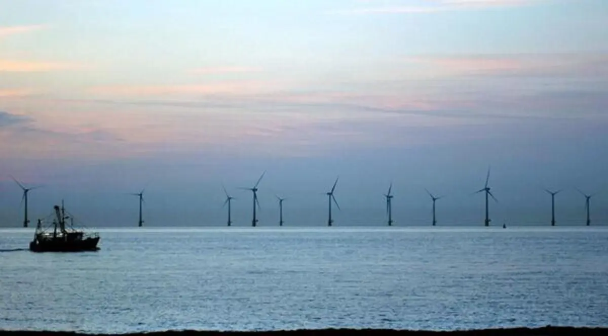 Imagem de contexto do artigo Eólica offshore: boa para o mexilhão, dispendiosa para o consumidor