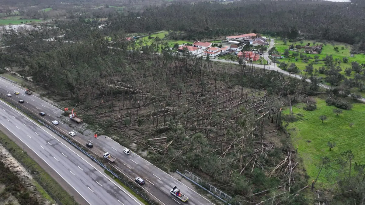Imagem de contexto do artigo "Praticamente insultuoso": isentar portagens apenas uma semana é "não ter noção da realidade"