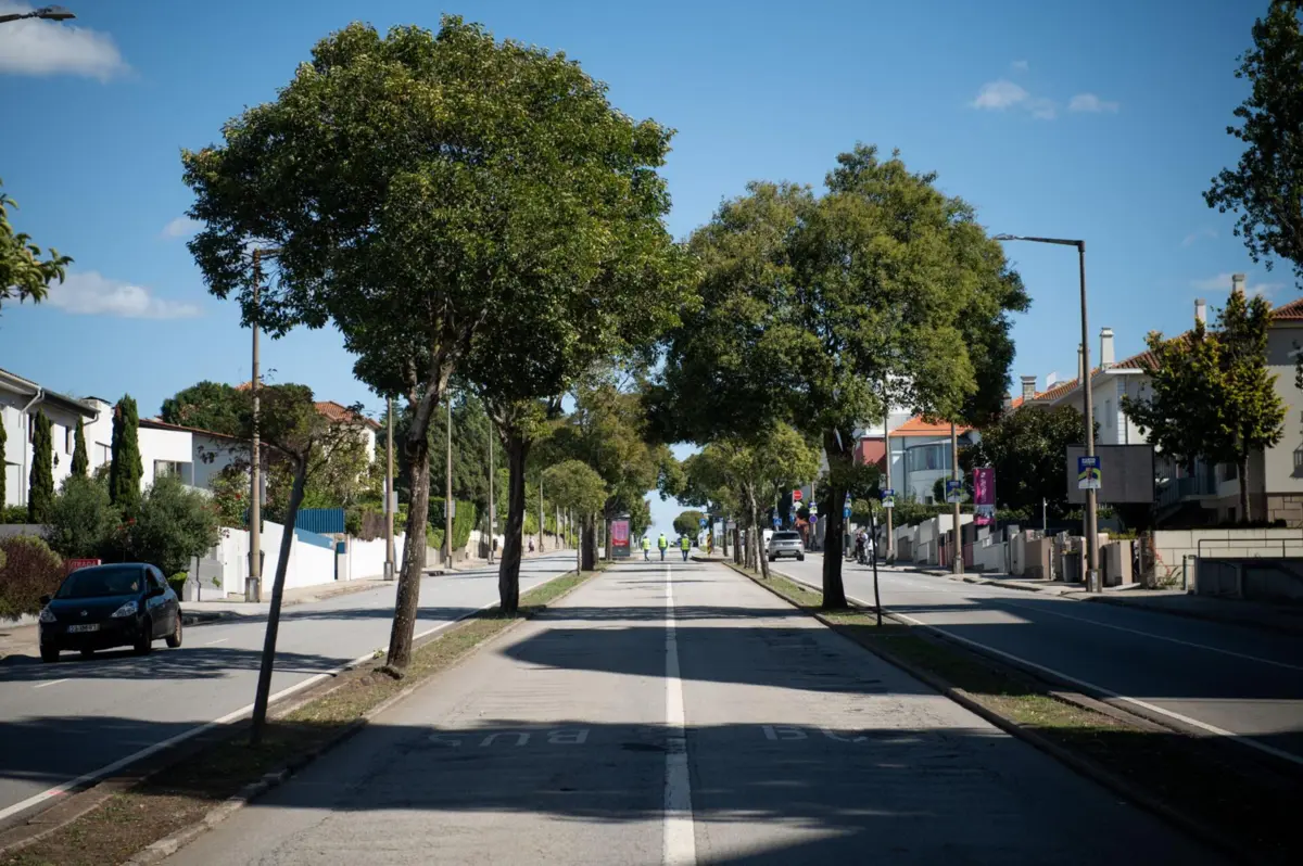 Imagem de contexto do artigo Metrobus do Porto arranca no final de fevereiro e dará a volta à rotunda da Boavista