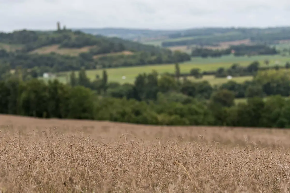Imagem de contexto do artigo CAP diz que "Estado pagou apenas 30%" das verbas devidas em 2023 e exige juros
