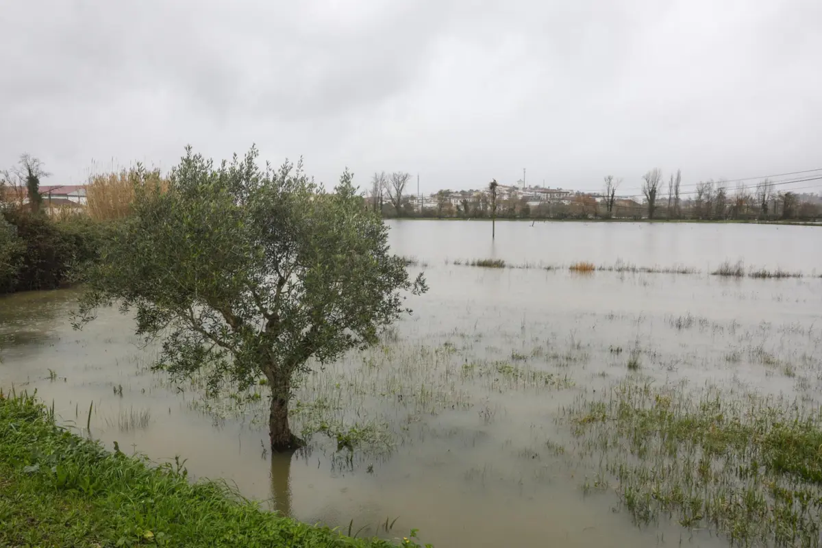 Imagem de contexto do artigo Governo esclarece que apenas concelhos em calamidade são elegíveis para apoios simplificados