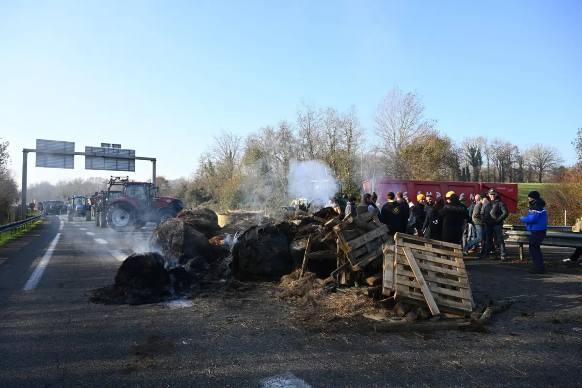 Imagem de contexto do artigo Agricultores franceses bloqueiam estradas num protesto contra abate de vacas devido a doença contagiosa