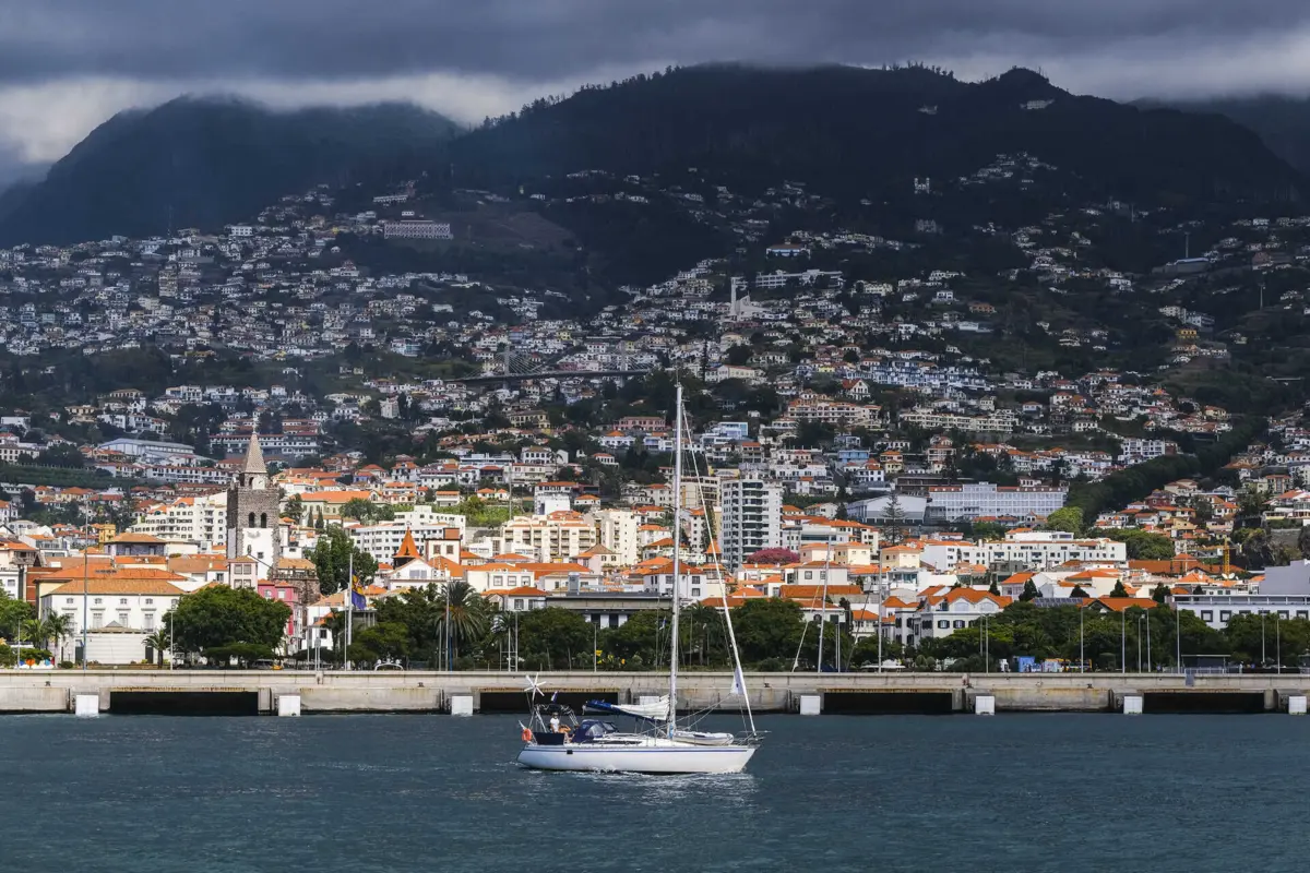 Imagem de contexto do artigo Vereador do CDS-PP no Funchal atropela pessoa sob efeito do álcool e suspende mandato