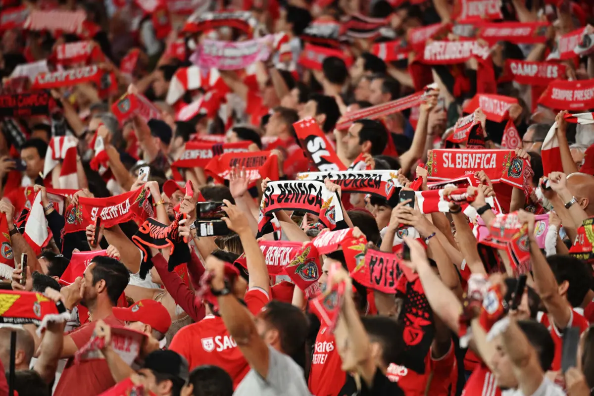 Imagem de contexto do artigo Auditoria forense conclui que Benfica não foi lesado em situações "materialmente relevantes"