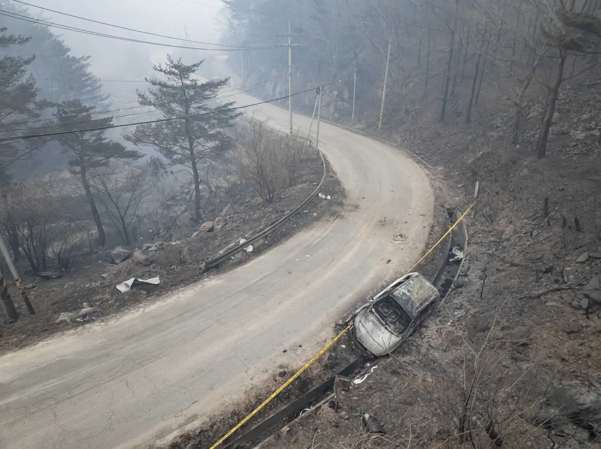 Imagem de contexto do artigo "Danos sem precedentes." Pelo menos 18 mortos em fogos florestais na Coreia do Sul