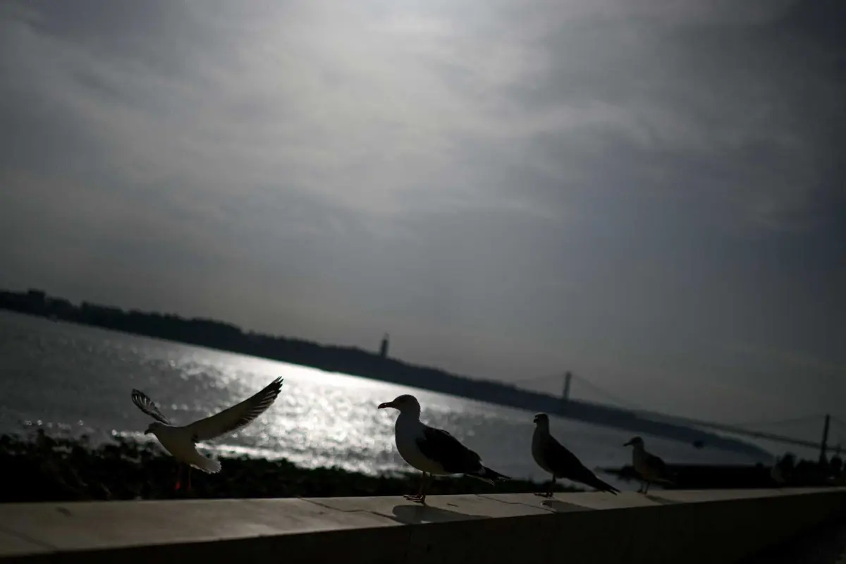 A ação de sensibilização à população sobre o risco de tsunami será direcionada às freguesias de Santa Maria Maior e da Misericórdia