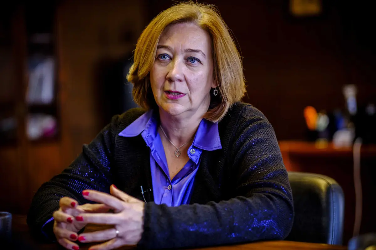 Rosário Farmhouse, presidente da Assembleia Municipal de Lisboa