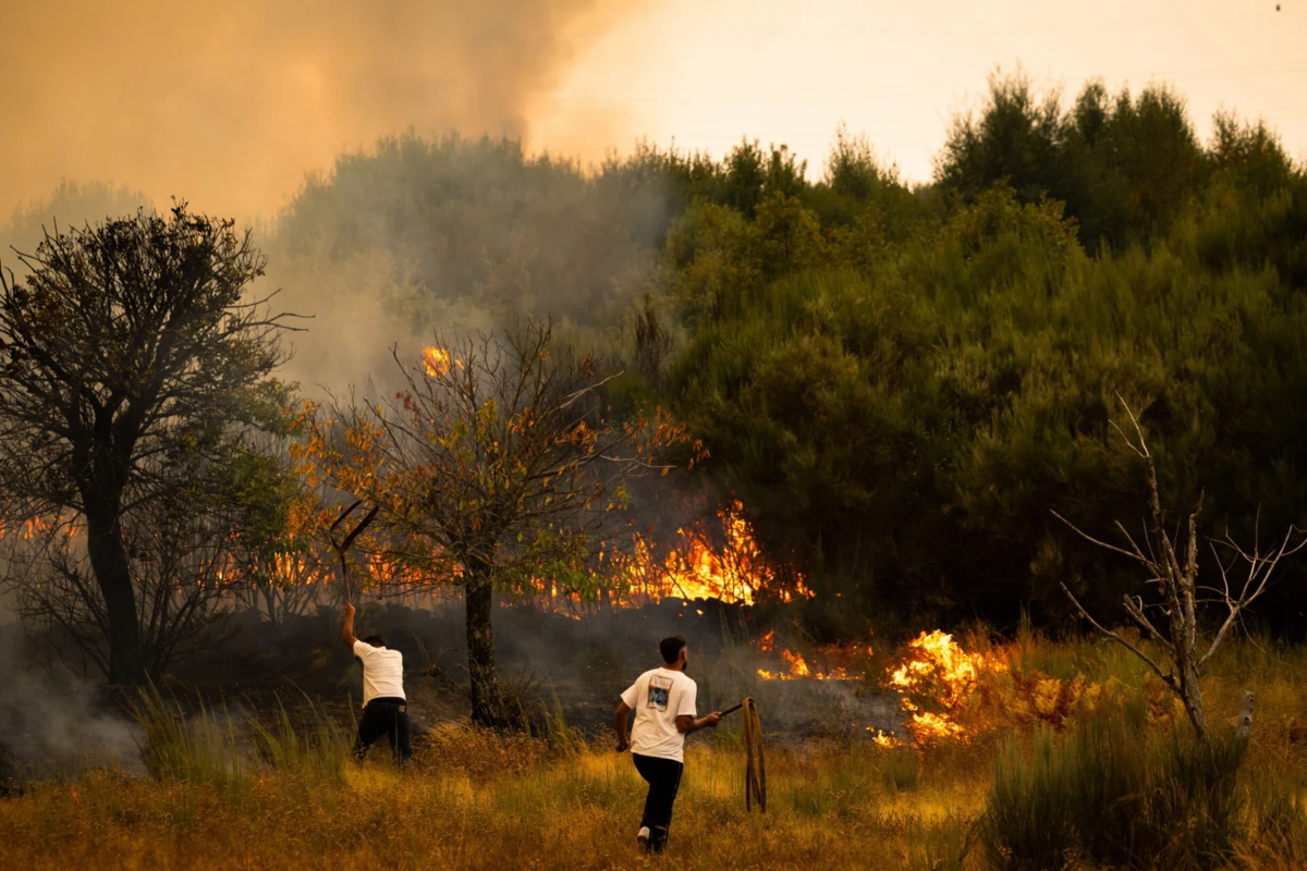 Imagem de contexto do artigo Incêndios: autarca de Vila Pouca de Aguiar quer esclarecimentos por "omissão de auxílio" e "desvio de meios"