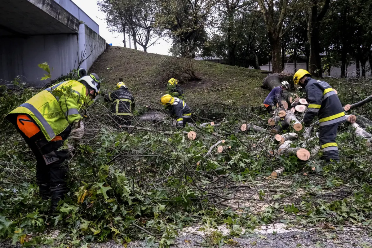 Imagem de contexto do artigo Há 48 mil pessoas sem eletricidade devido à intempérie que atinge Portugal. Norte mais afetado