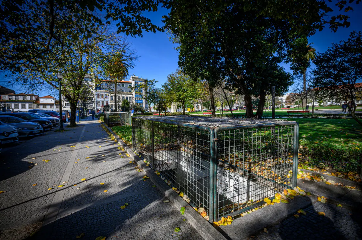 Imagem de contexto do artigo Concentração de pólen na atmosfera pode subir a partir de segunda-feira no continente