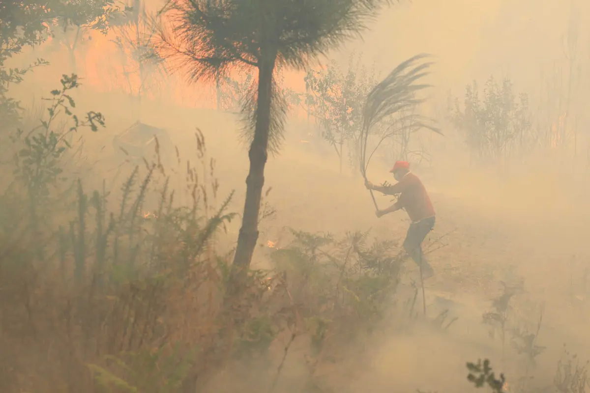 Imagem de contexto do artigo Ministra justifica silêncio com conselhos das autoridades para não haver "intervenções desadequadas"