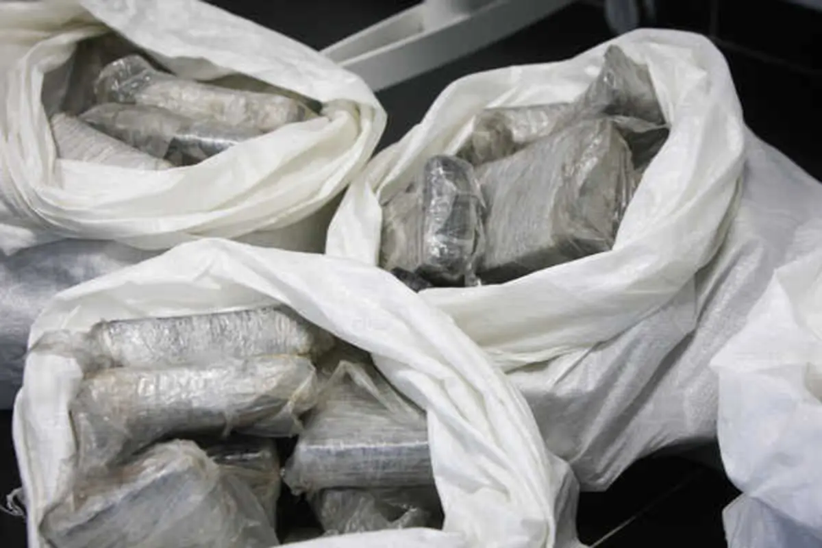 Imagem de contexto do artigo Entrada de cocaína em Portugal “bate recordes”. Agência da União Europeia sobre Drogas assume preocupação