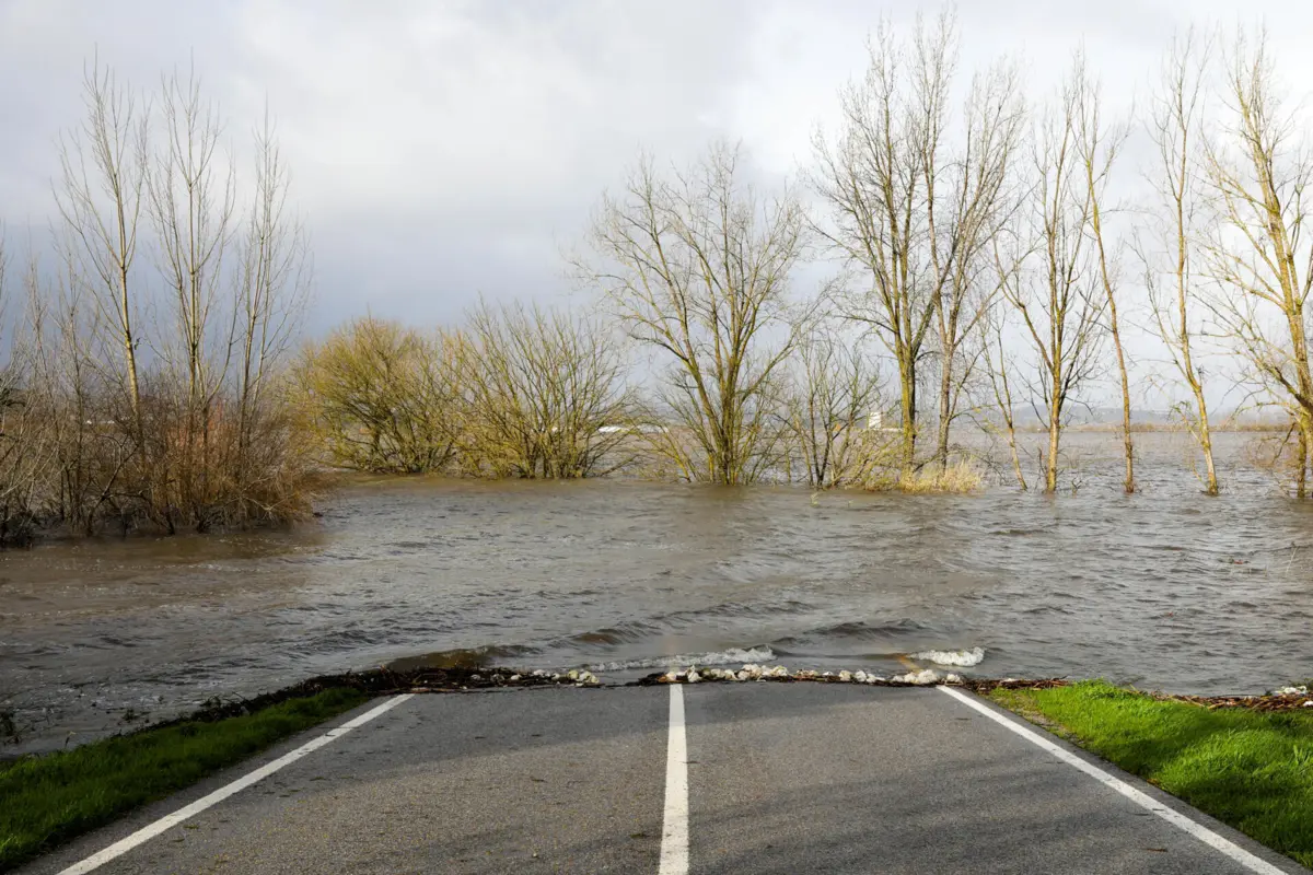 Imagem de contexto do artigo Níveis do rio Mondego em Montemor-o-Velho começam a baixar mas situação ainda é "complicada"