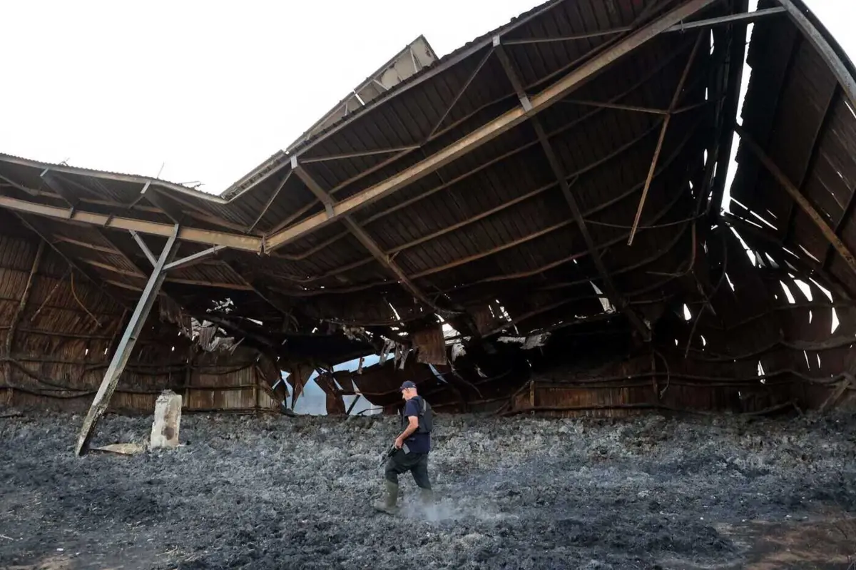 Imagem de contexto do artigo Os futuros israelitas não combatem