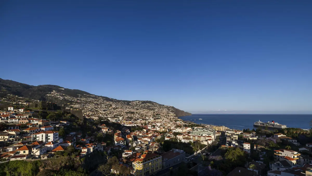 Imagem de contexto do artigo "Não há motivo para alarme." Vírus da dengue identificado em mosquito numa armadilha de monitorização na Madeira