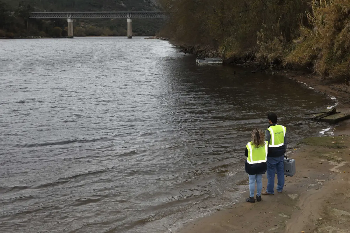 Imagem de contexto do artigo Proteja os seus animais e equipamentos: Proteção Civil alerta para risco de inundações após subida dos caudais do rio Tejo