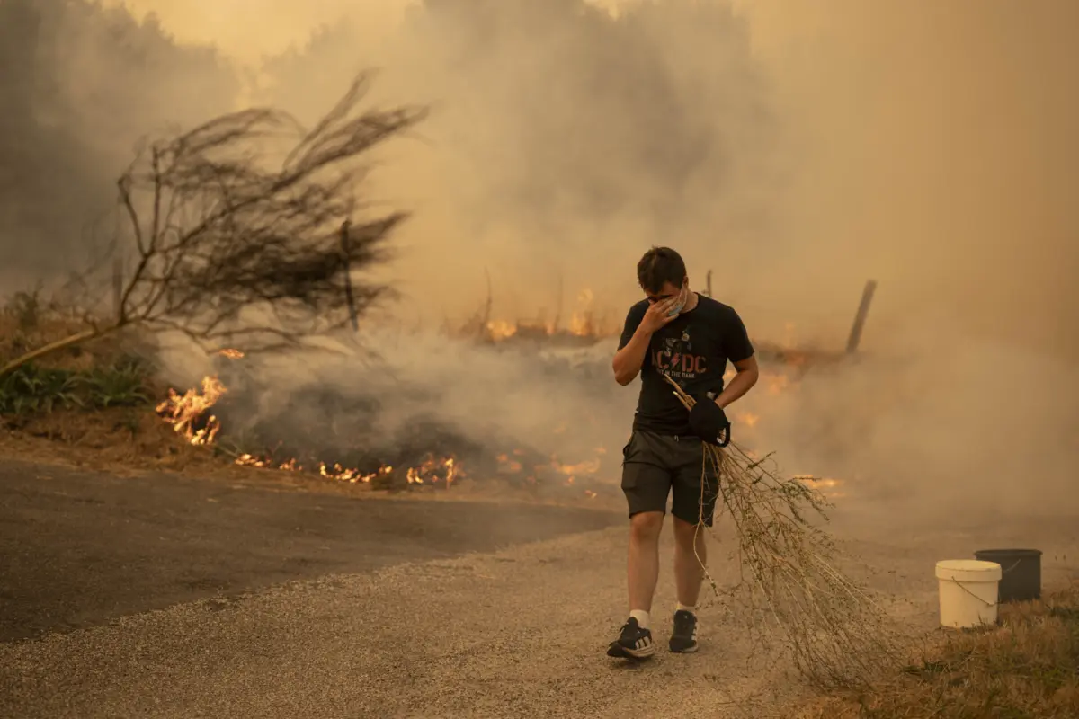 Imagem de contexto do artigo Incêndios em Espanha queimaram já 343 mil hectares, um recorde anual no país