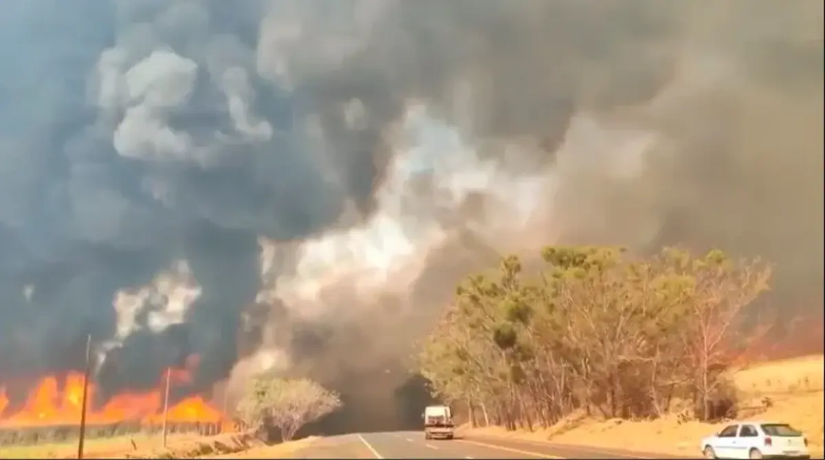 Imagem de contexto do artigo Incêndios florestais: 30 cidades do estado de São Paulo em alerta máximo