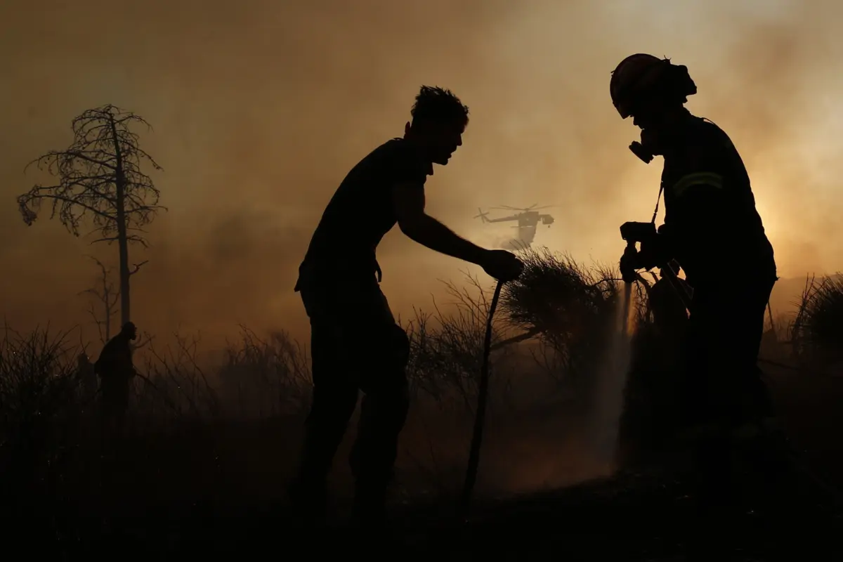 Milhares de hectares de floresta foram já afetados