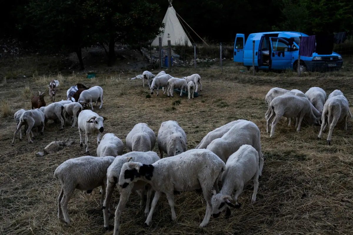 O ataque aconteceu na madrugada de sexta-feira para sábado