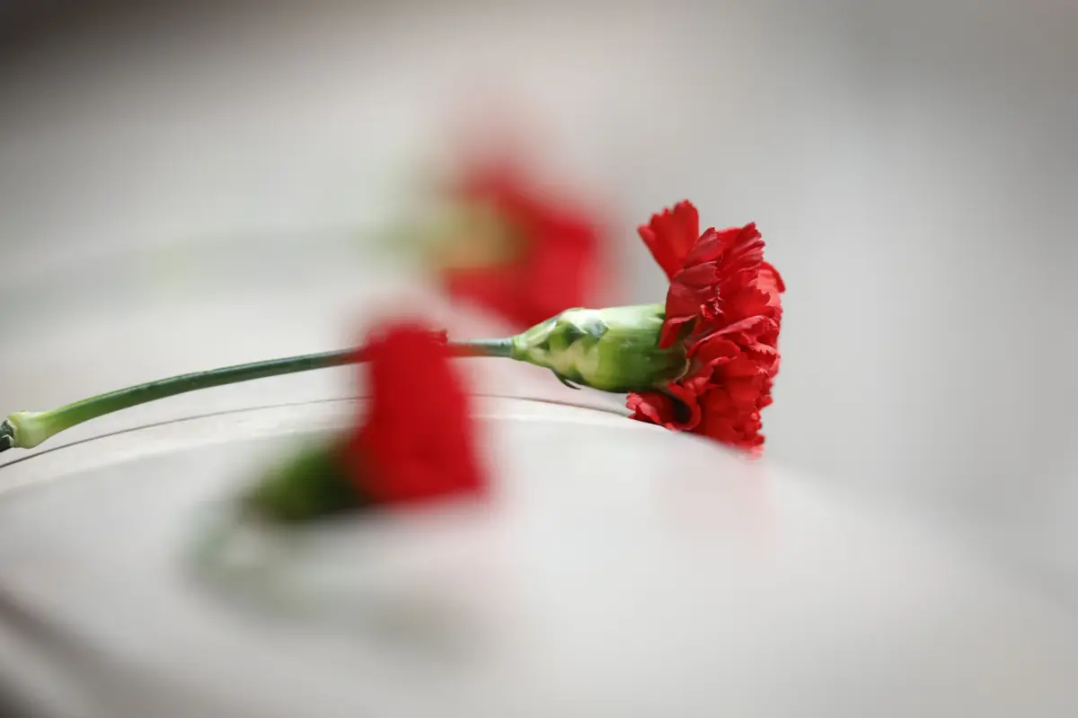 Imagem de contexto do artigo "Odeiam" o 25 de Abril e Estado perde "estatuto de pessoa de bem": Governo "não cumpre compromisso" sobre centro interpretativo