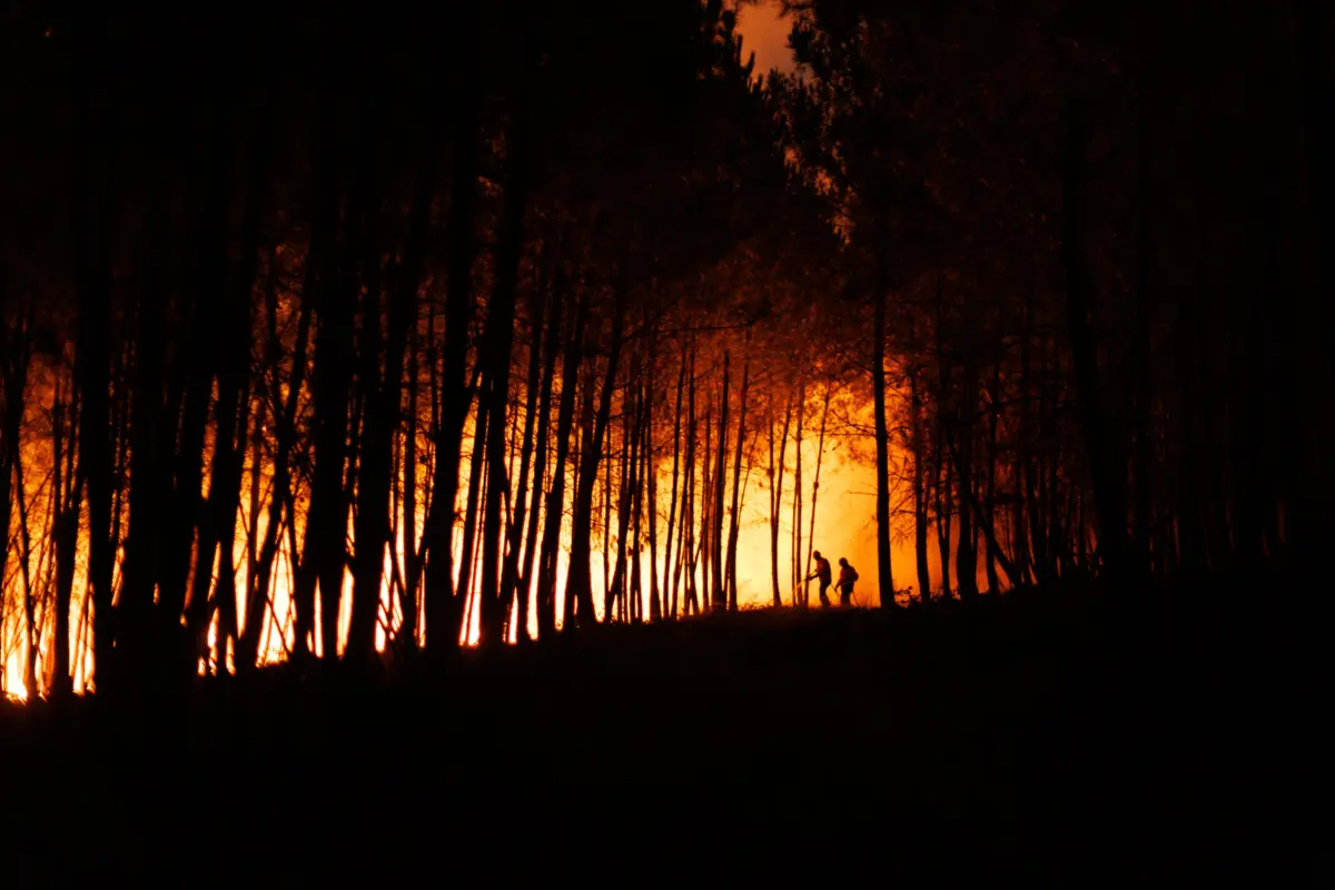 Imagem de contexto do artigo "Fogo é inimigo comum" e "aí não há nacionalidades": imigrantes empenhados no combate aos incêndios no interior do país