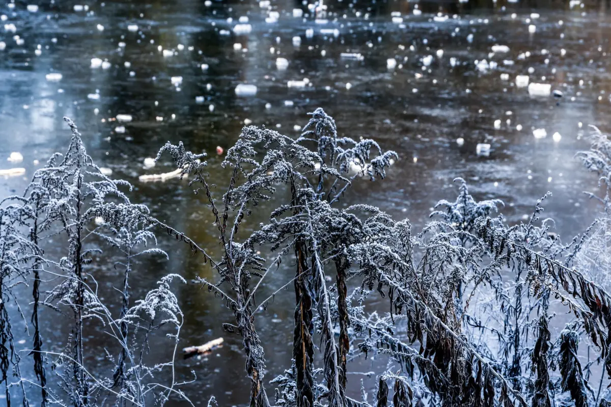 Imagem de contexto do artigo Escolas de Manteigas fechadas na sexta-feira perante "previsões de neve históricas"