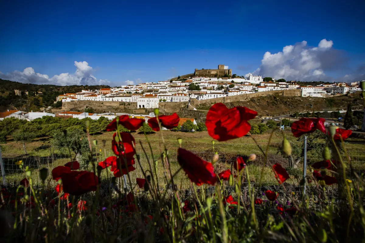 Imagem de contexto do artigo Campo de tiro em Mértola "deitaria por terra todo o desenvolvimento" e território "frágil não pode servir para experiências"