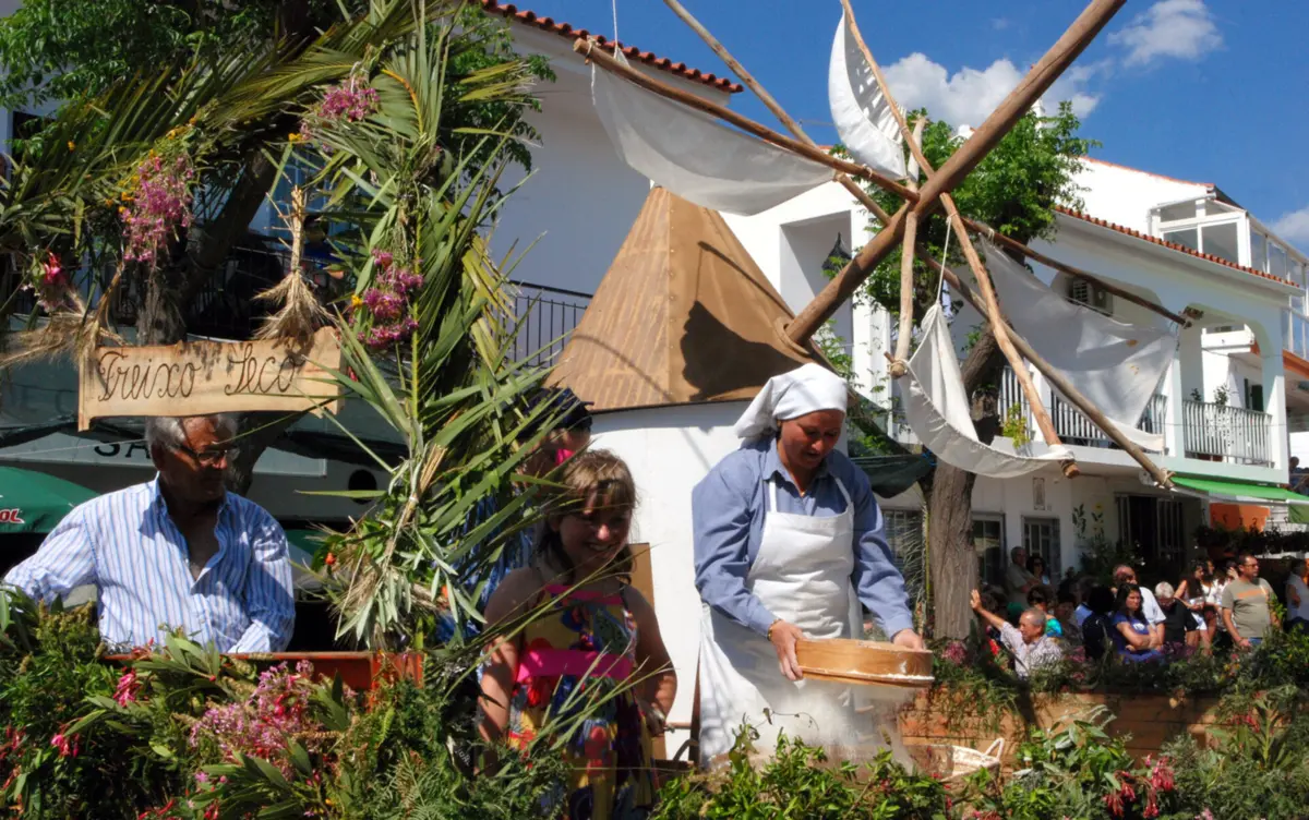 Nesta festa, cada planta tem um significado