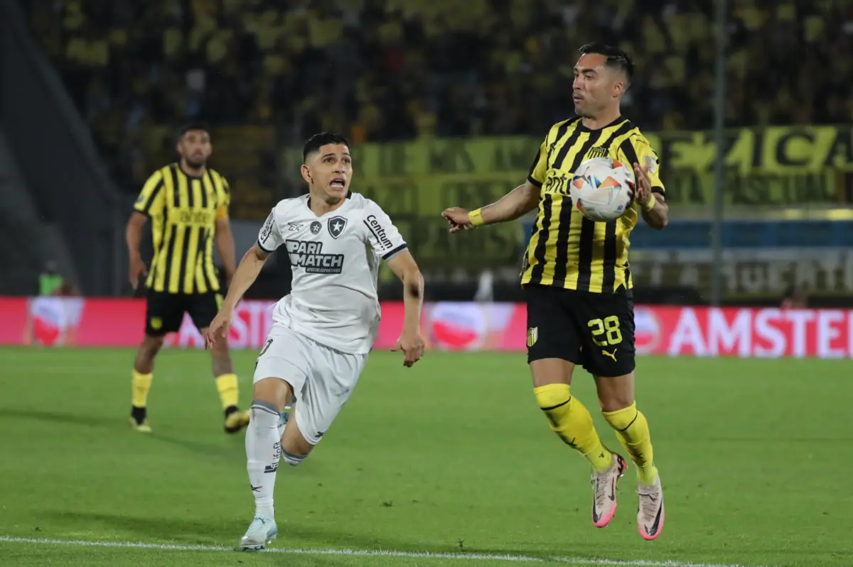 Imagem de contexto do artigo Botafogo perde no Uruguai, mas apura-se para final da Taça Libertadores