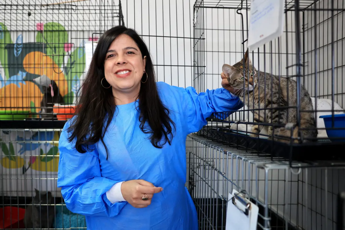 Imagem de contexto do artigo PAN insiste nas “segundas sem carne” no Parlamento e estratégia para leguminosas
