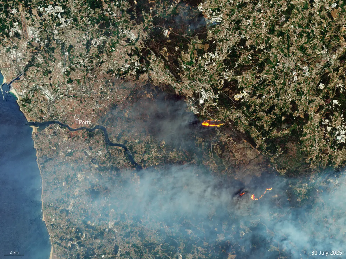 Imagem de contexto do artigo Agência espacial europeia divulga imagem de satélite dos incêndios florestais em Portugal
