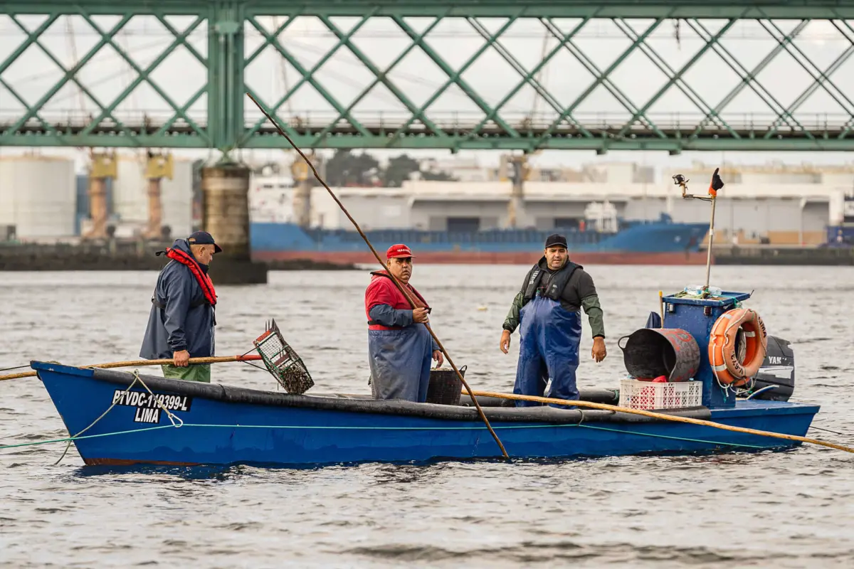 Imagem de contexto do artigo Comemorações da Polícia Marítima em Viana do Castelo: “É uma profissão que dá liberdade e serve a comunidade"